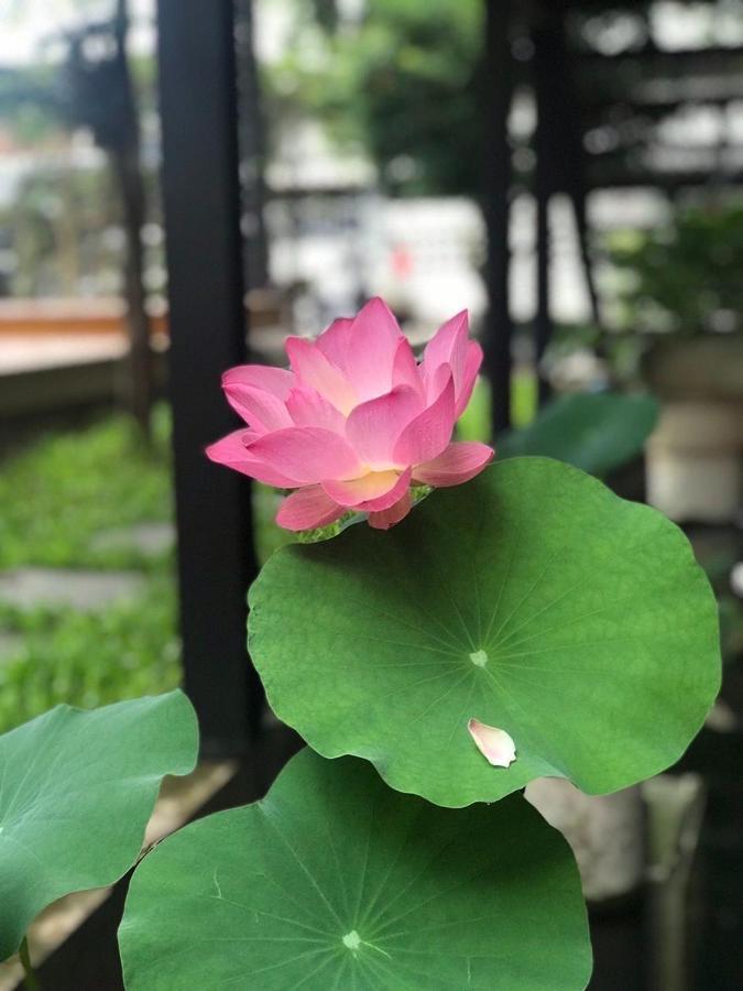 The Wishes Hotel At Chiangmai Chiang Mai Exterior photo